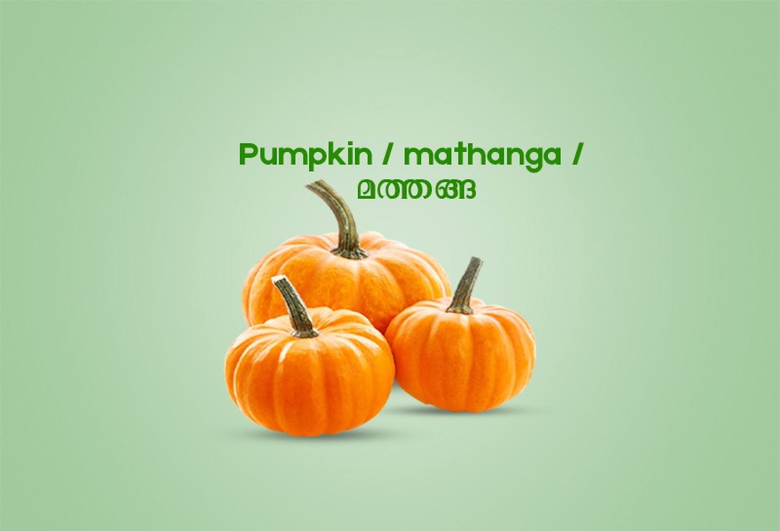 Pumpkin / mathanga / മത്തങ്ങ - 500gm